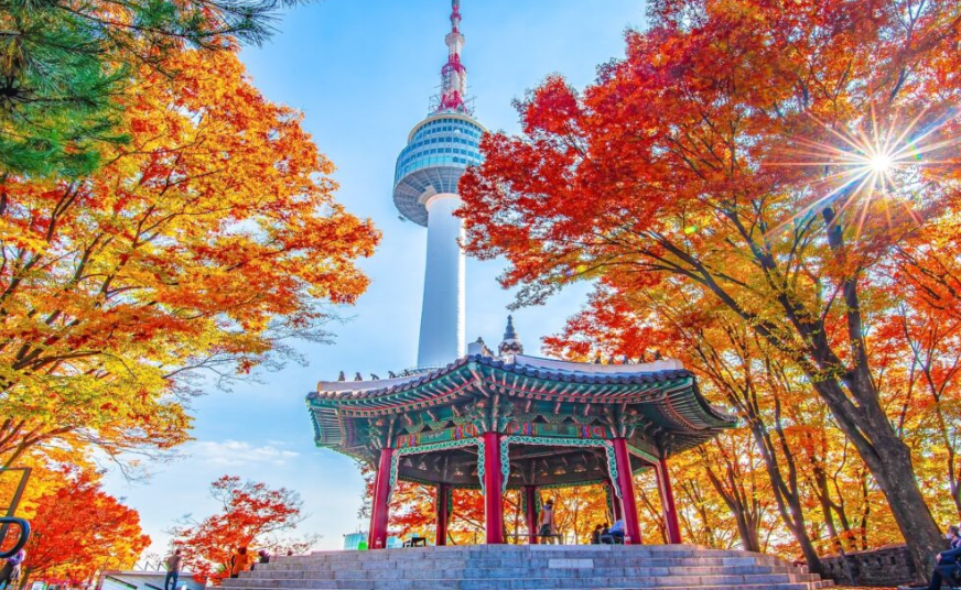 South Korea 3