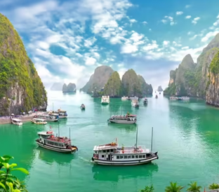 Vietnam Delight