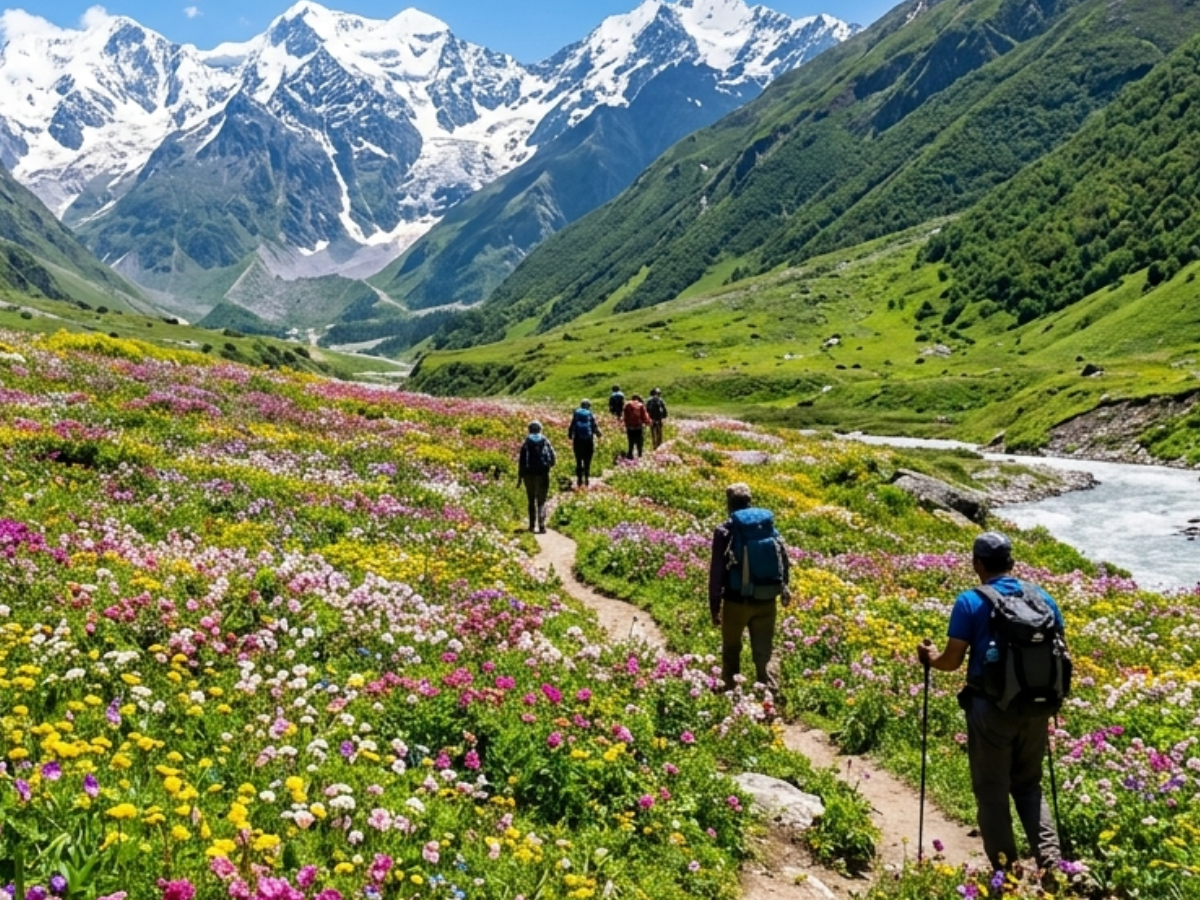 Valley of Flowers